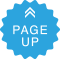 Page Top